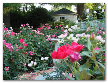 Landscaping-and-Design-'07-spring-summer-044