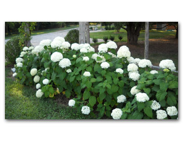 Meg's-graduation-and-North-East-Harbor-041