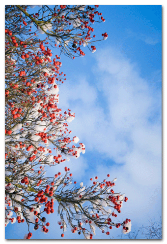 iStock_000013726604XSmall