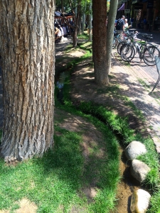 narrow deep meandering creek