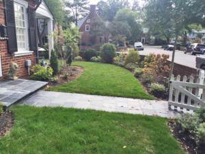 2_feature-of-monthlexington