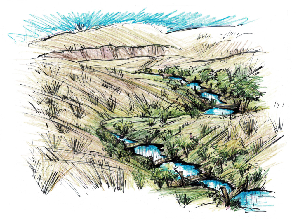 32-0425_Willow Wattle view-01