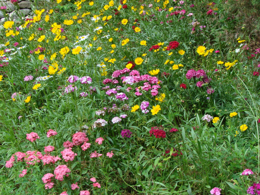 Landscaping and Design '07 spring-summer 138