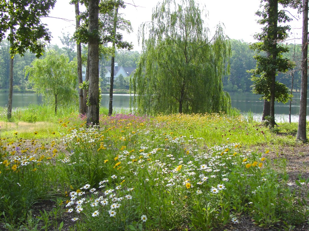 Landscaping and Design '07 spring-summer 146