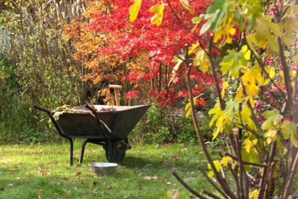 why-autumn-s-the-best-time-to-garden-1633955066_n