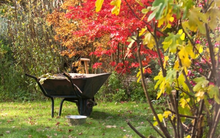 why-autumn-s-the-best-time-to-garden-1633955066_n
